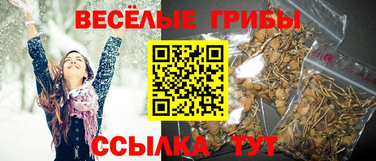 Тавда  Псилоцибиновые грибы ЛСД  Вход с VPN 