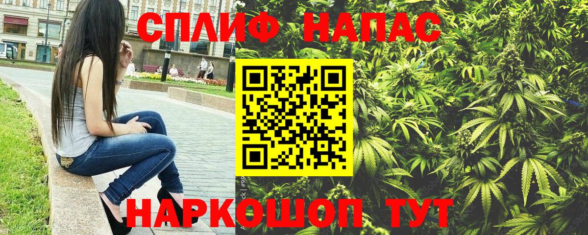 МАРИХУАНА семена Тавда